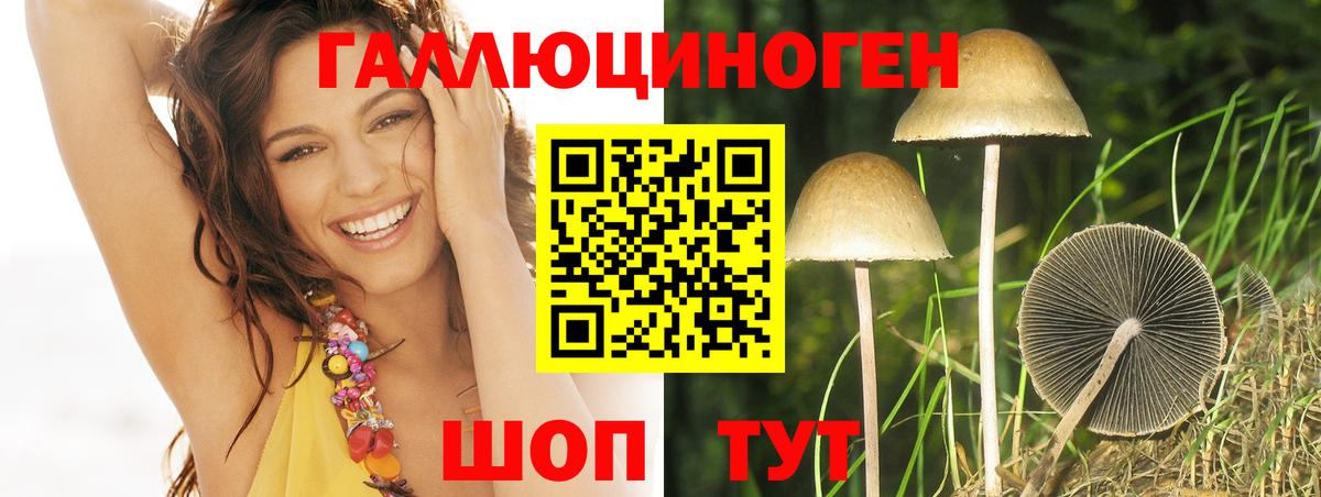 купить  сайты  Галлюциногенные грибы ЛСД  Вход с VPN  Ноябрьск 